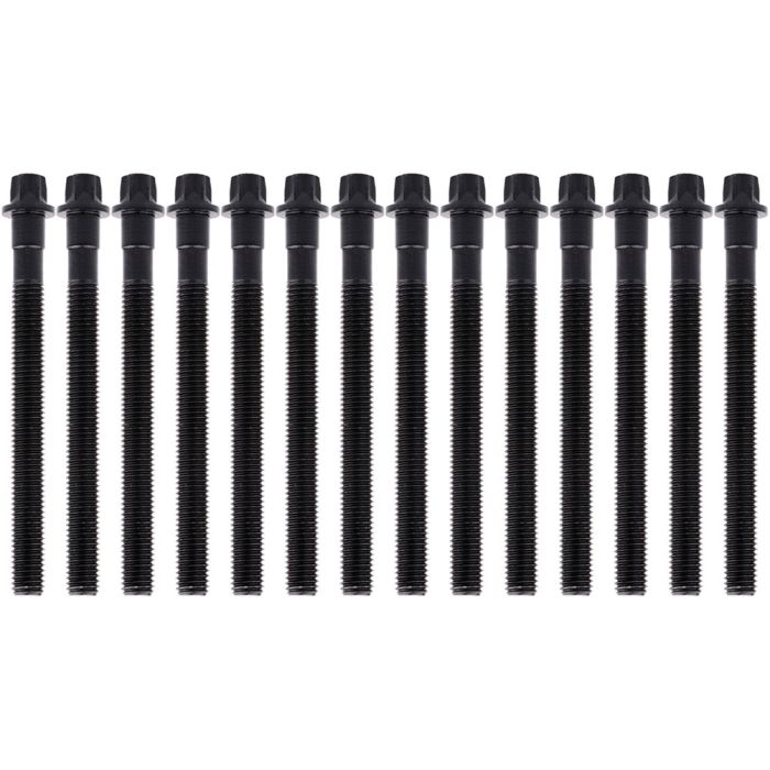 Engine Head Bolts Fits 2001-2006 BMW X5 2004-2006 BMW X3